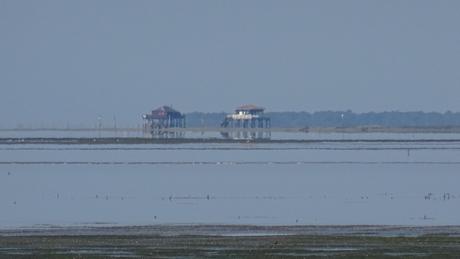 Le nécessaire retour à la mer