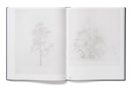 TRINE SØNDERGAARD – 203 WORKS