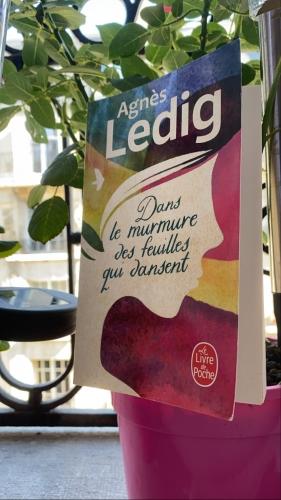 « Dans le murmure des feuilles qui dansent » de Agnès Ledig car la vie et l’amour sont plus forts que tout ! B6913304-E083-416E-BACE-3566394A92AD.jpg