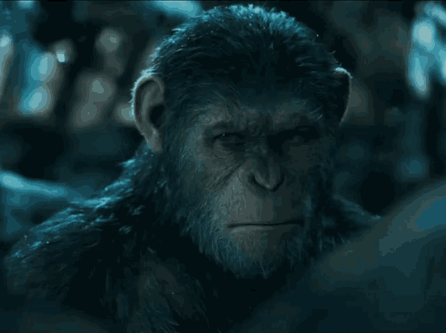 Tag Favourite Characters: My precious… Tag Favourite Characters: My precious…