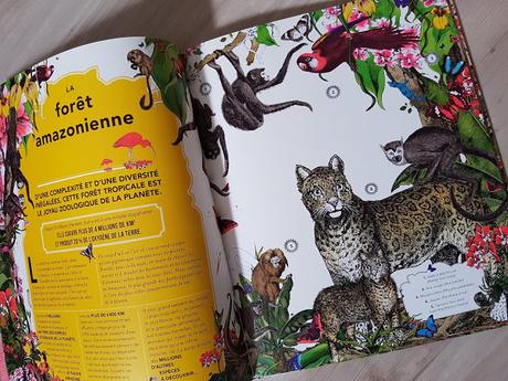 INSTA REVIEW : Le jardin des merveilles - Un bestiaire extraordinaire ♥ ♥ ♥