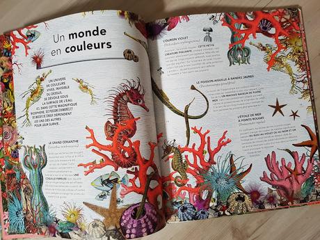 INSTA REVIEW : Le jardin des merveilles - Un bestiaire extraordinaire ♥ ♥ ♥