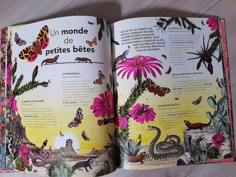INSTA REVIEW : Le jardin des merveilles - Un bestiaire extraordinaire ♥ ♥ ♥