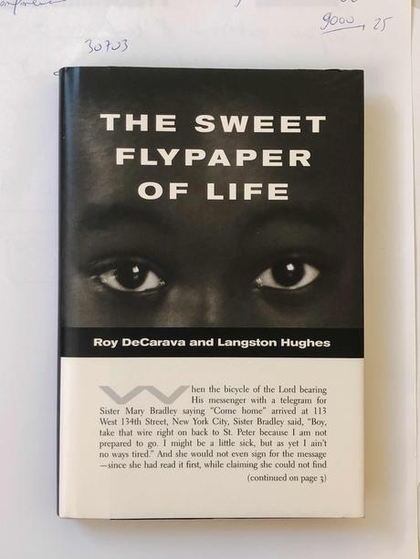 The sweet flypaper of life The sweet flypaper of life