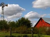 Journée d'automne Wallace Stegner