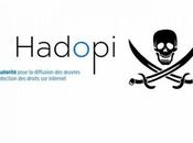 pouvoirs d’Hadopi déclarés contraires Constitution