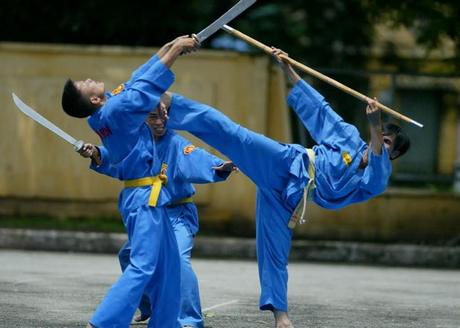 histoire de vovinam