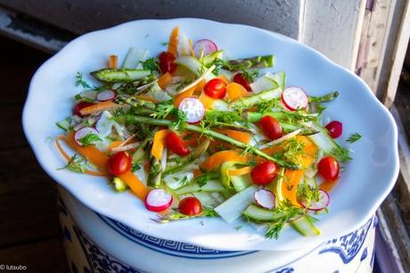 A manger tout cru ! – Salade d’asperges vertes et fenouil