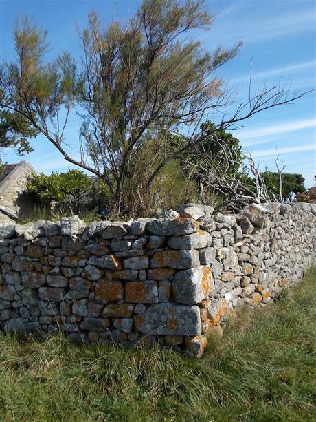 il n'y a pas d'ailleurs où guérir d'ici