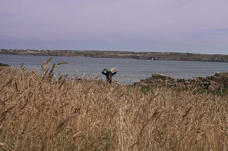 il n'y a pas d'ailleurs où guérir d'ici