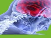 ÉPILEPSIE L’espoir d’une neuromodulation ultrasons