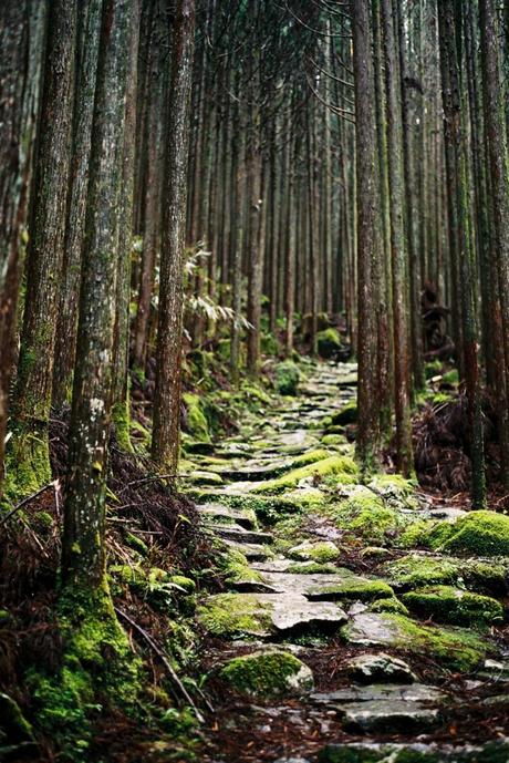 Quatre jours de randonnée sur le pèlerinage du Kumano Kodo