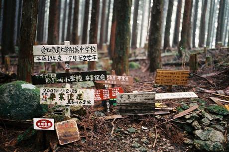 Quatre jours de randonnée sur le pèlerinage du Kumano Kodo