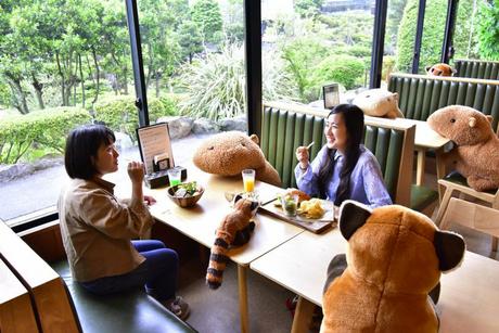 Japon : des peluches géantes dans un restaurant pour faire respecter la distanciation sociale