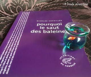 pourquoi le saut des baleines de Nicolas Cavaillès