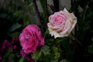 Promenade ensoleillée dans le 11ème arrondissement de Paris