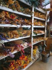 Promenade ensoleillée dans le 11ème arrondissement de Paris