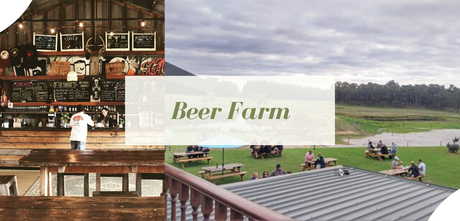 Bière artisanale – WA va manger dans le sud
– Houblon Bière artisanale – WA va manger dans le sud
– Houblon