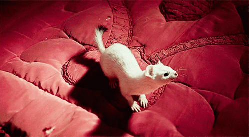 Tag Favourite Characters: Everyone is special! Tag Favourite Characters: Everyone is special!