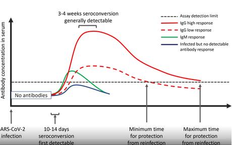 COVID-19 : Immunité, que sait-on exactement ? COVID-19 : Immunité, que sait-on exactement ?