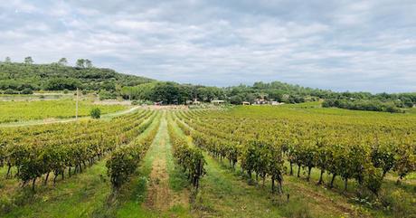 chateau-favori-provence-verte