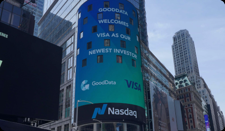 GoodData + Visa