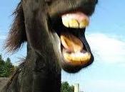 millions d'épidémiologistes