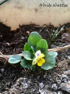 Une vie et des poussières de Valérie Clo