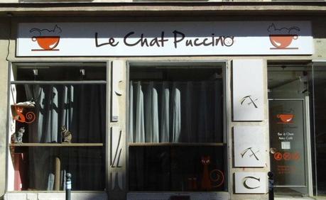 Sauvons le Chat Puccino à Rennes !