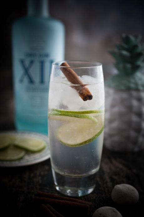 Cocktail Gin XII comme un gin’to avec de la cannelle