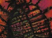 Surprise bibliothèque