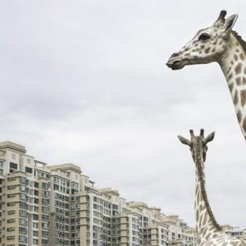 prenez place sur la vieille chaise prenez place sur la vieille chaise