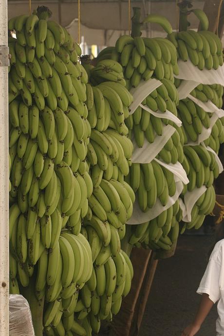 J’ai la banane…plantain