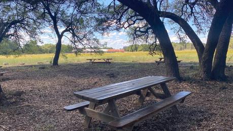Craft beer – Transformation du coronavirus de la brasserie Jester King: un parc pour la bière
– Mousse de bière Craft beer – Transformation du coronavirus de la brasserie Jester King: un parc pour la bière
– Mousse de bière