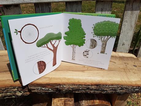 Que nous cache le tronc des arbres ? de Isabelle Collioud-Marichallot et Anne Derenne Que nous cache le tronc des arbres ? de Isabelle Collioud-Marichallot et Anne Derenne