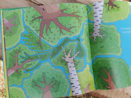 Que nous cache le tronc des arbres ? de Isabelle Collioud-Marichallot et Anne Derenne