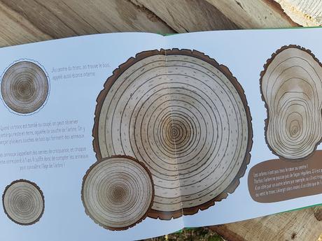 Que nous cache le tronc des arbres ? de Isabelle Collioud-Marichallot et Anne Derenne Que nous cache le tronc des arbres ? de Isabelle Collioud-Marichallot et Anne Derenne