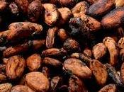 polémique travail enfants pour produire cacao ivoirien