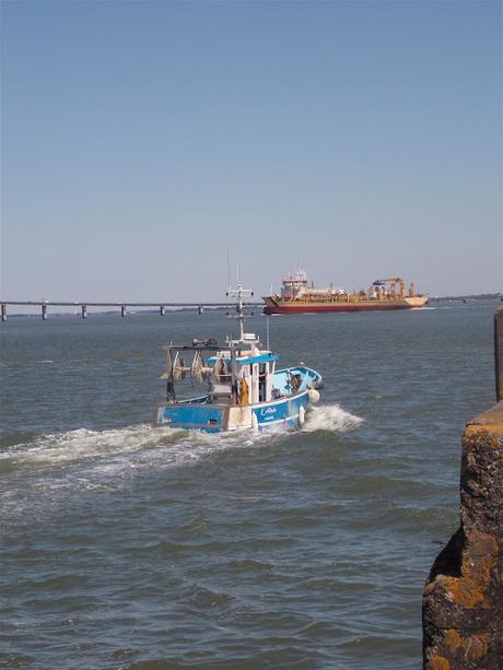 le temps s'est rafraîchi