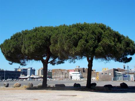 le temps s'est rafraîchi