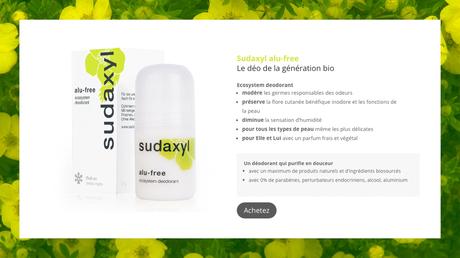 Optimisation : Site Internet Traduction Anglais – Agence de publicité internet à Annecy Optimisation : Site Internet Traduction Anglais – Agence de publicité internet à Annecy