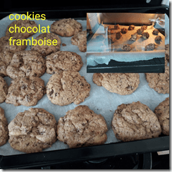 cookies-chocolat-framboises-pour-Instagram[1]