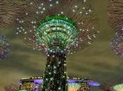 Divers Incroyables photos