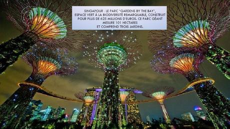 Divers - Incroyables photos - 4