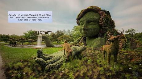 Divers - Incroyables photos - 4