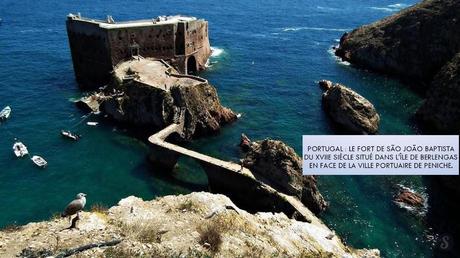 Divers - Incroyables photos - 4