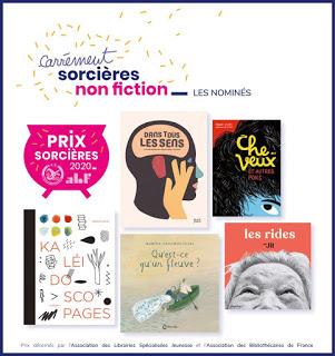 Les six lauréats des prix Sorcières 2020 Les six lauréats des prix Sorcières 2020