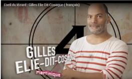 L'Oeil du lézard Création de la série de mini vidéos trilingues l'Oeil du lézard avec Vianney Sotes, générique Gilles Elie dit Cosaque