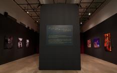 Renée Cox, an intimate retrospective 2016 Renée Cox, an intimate retrospective 2016