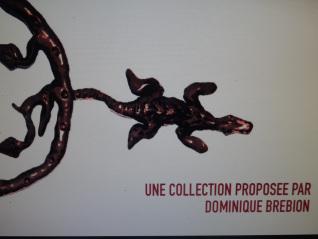 L'Oeil du lézard Création de la série de mini vidéos trilingues l'Oeil du lézard avec Vianney Sotes, générique Gilles Elie dit Cosaque